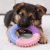 Anneau Caoutchouc Chien