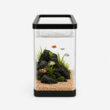 Aquarium Acrylique