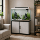 Aquarium avec Meuble