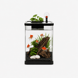 Aquarium Design Moderne