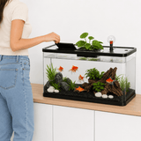 Aquarium Design Moderne