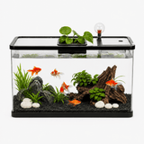 Aquarium Design Moderne