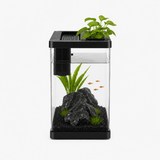 Aquarium Eau Douce