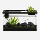 Aquarium Eau Douce