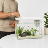 Aquarium Nano Complet