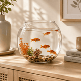 Aquarium Petit Volume