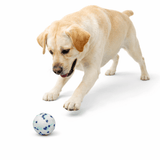 Balle Indestructible Chien