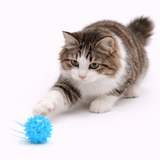 Balle Lumineuse Chat