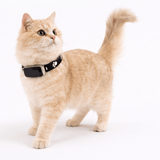 Collier Chat Anti Fugue