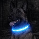 Collier Lumineux LED Chien