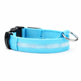 Collier Lumineux LED Chien
