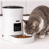 Distributeur Automatique Croquettes
