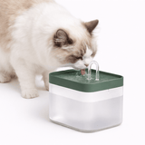 Distributeur Eau Chat