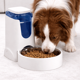 Distributeur Eau Gravité Chien