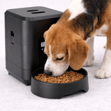 Distributeur Programmable Nourriture