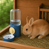 Fontaine Eau Lapin