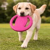 Frisbee pour Chien