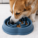 Gamelle Anti Glouton Chien