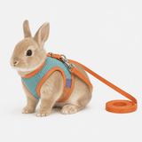 Harnais Lapin Réglable