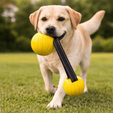 Jouet Flottant Chien