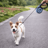 Laisse Rétractable Chien
