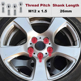 Anti-vol Roue Zone Sûre