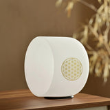 Bol Sonore Yoga