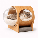 Maison Chat Design