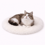 Tapis Chauffant Chat